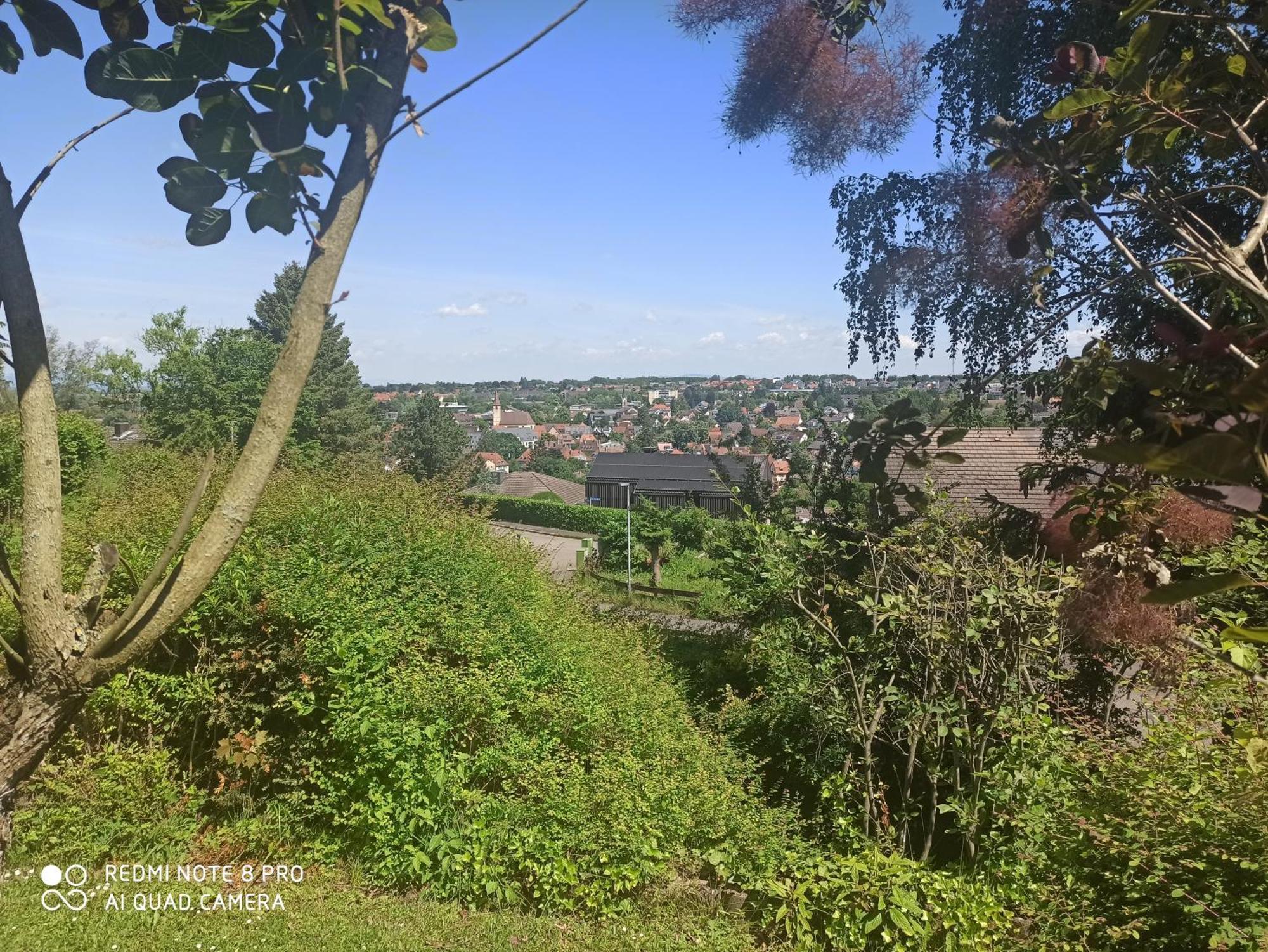 Appartement Haus Roetebuck à Mullheim  Extérieur photo